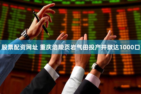 股票配资网址 重庆涪陵页岩气田投产井数达1000口