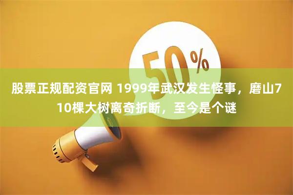 股票正规配资官网 1999年武汉发生怪事，磨山710棵大树离奇折断，至今是个谜