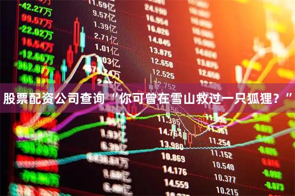 股票配资公司查询 “你可曾在雪山救过一只狐狸？”